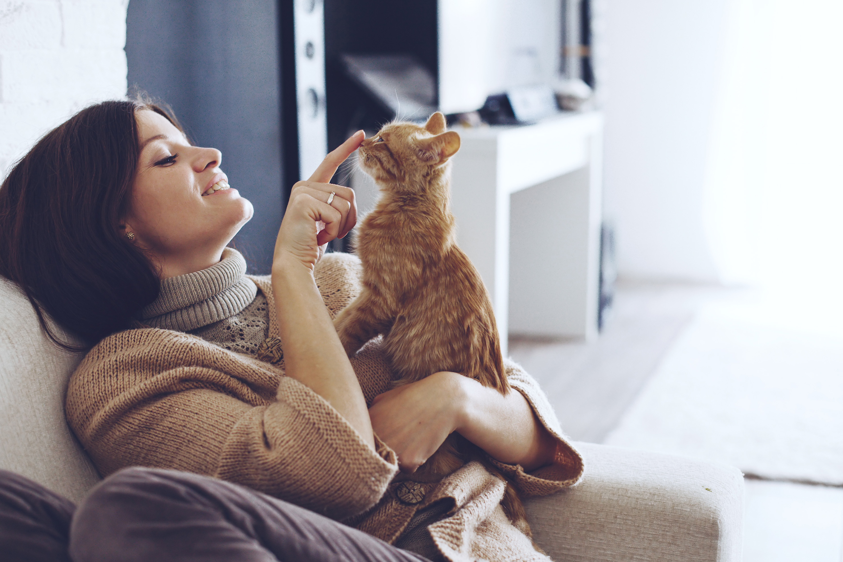 Apaiser La Peau De Votre Chat